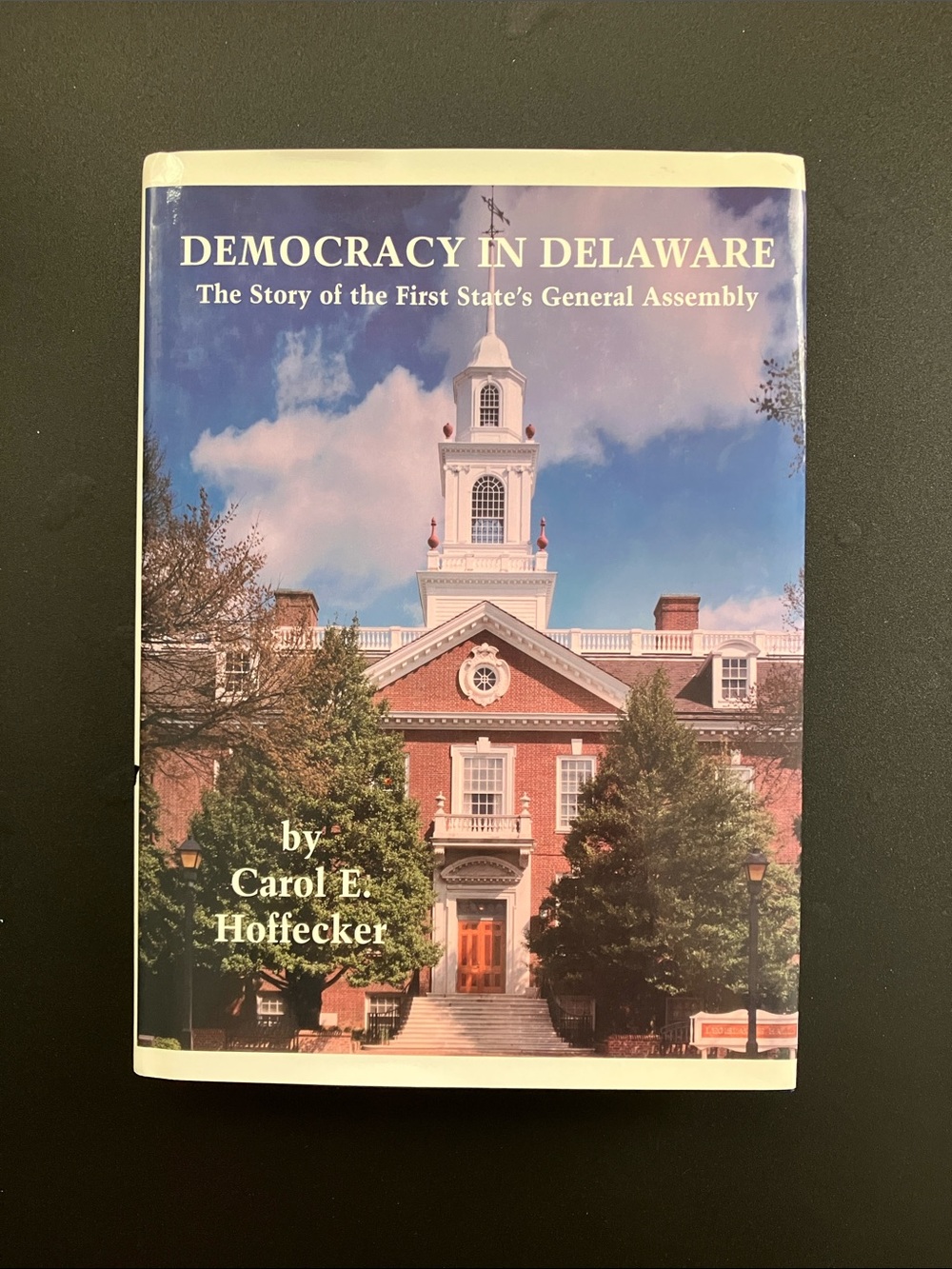 State & American History Book Democracy in Delaware Carol Hoffecker Hardcover